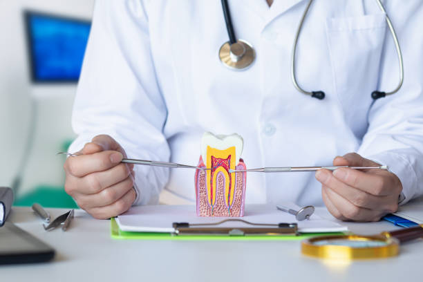 Best Emergency Dental Services for Seniors in Wakefield, VA